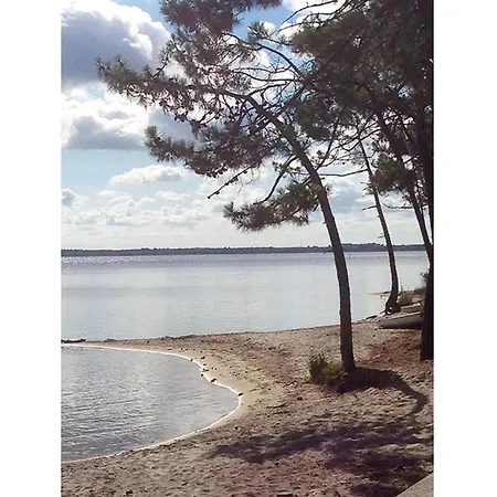 Alluring In The Of Ocean *